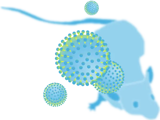 Host Pathogen Illustration